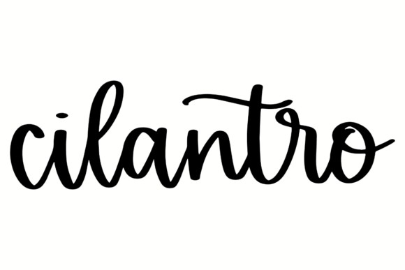 Download Cilantro Herb Kitchen Label - Premium Resources